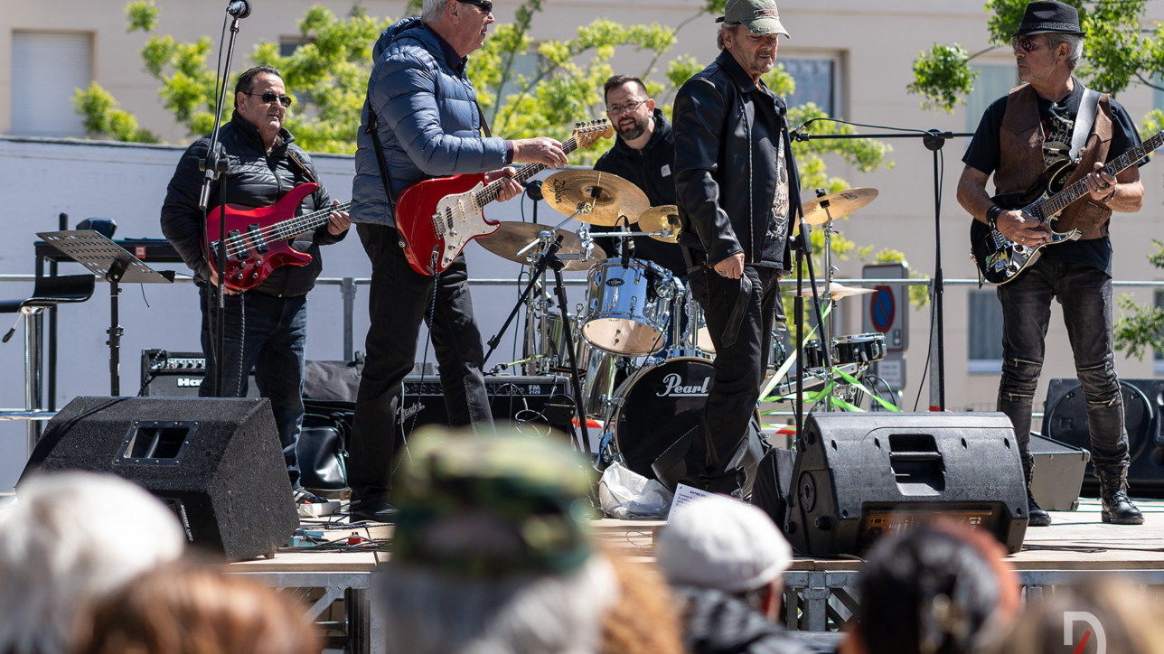 Chanteur Interprète Voix Hallyday Montpellier France Suisse